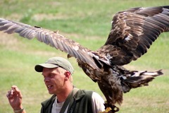 Killikus&reg; Fotographie